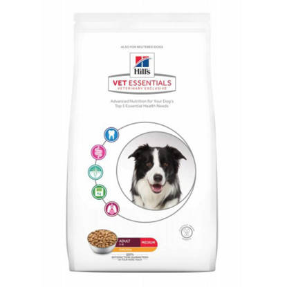 Picture of Hills Vet Essential Canine Dental Health Adult 10kg