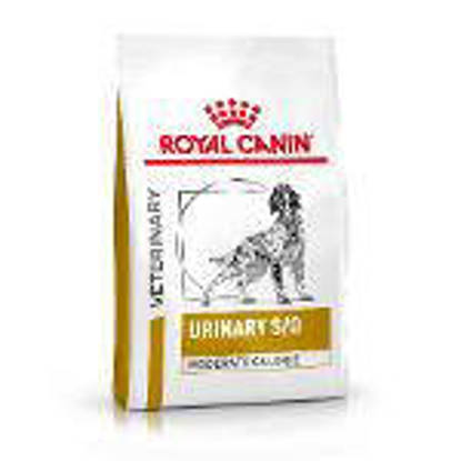 Picture of Royal Canine Dog Urinary S/O Moderate Calorie 6.5kg