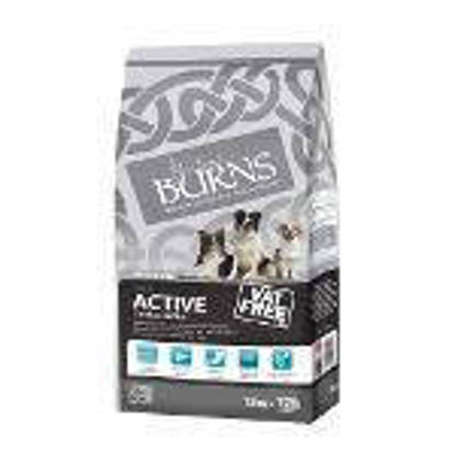 Picture of Burns Canine Active Chicken & Rice 12kg