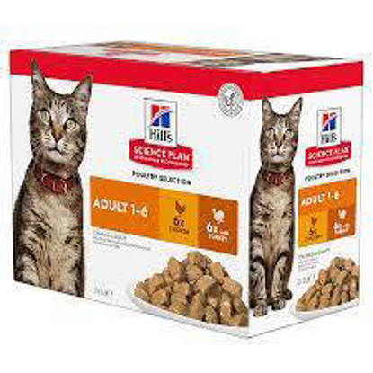 Picture of Hills Science Plan Adult Cat Tender Chunks Multi-pack Poultry Selection Pouch x 12 x 85g
