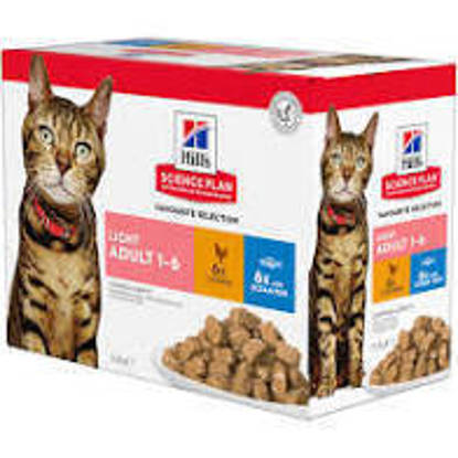 Picture of Hills Science Plan Light Cat Multi pack pouches 12 x 85g