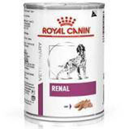 Picture of Royal Canin Dog Renal 410g x 12 Tins