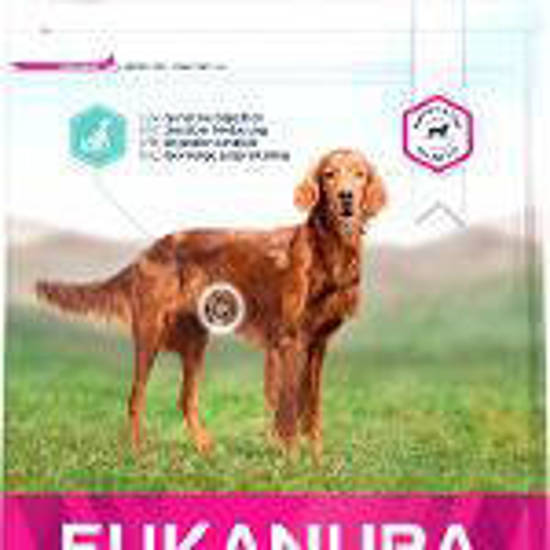 Picture of Eukanuba Daily Care Sensitive Digestion - 2.3kg