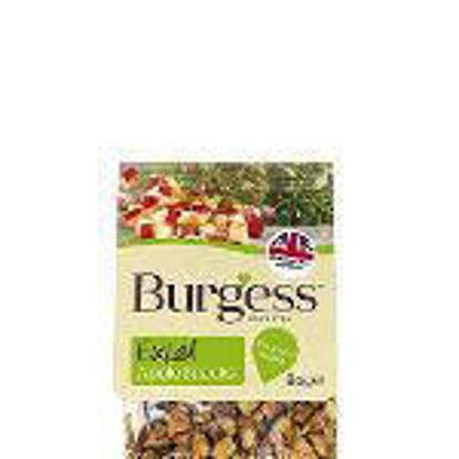 Picture of Burgess Excel Apple Snacks - 8 x 80g