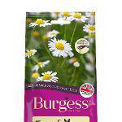 Picture of Burgess excel Mount Meadow Herbs 6 x 120g
