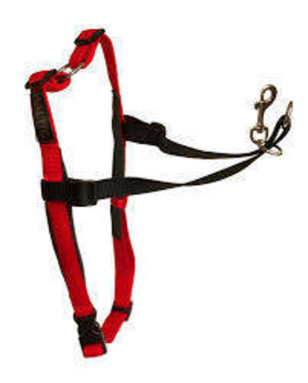 Picture of Halti Dog Control Harness - Large