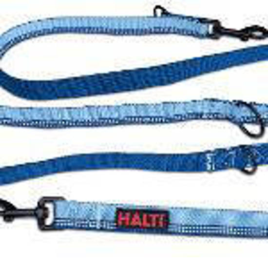 Picture of Halti Lead Double End - Blue - Large