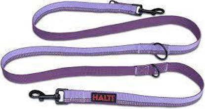 Picture of Halti Lead Double End - Purple - Large