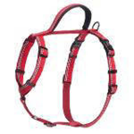 Picture of Halti Walk Harness Red - Large