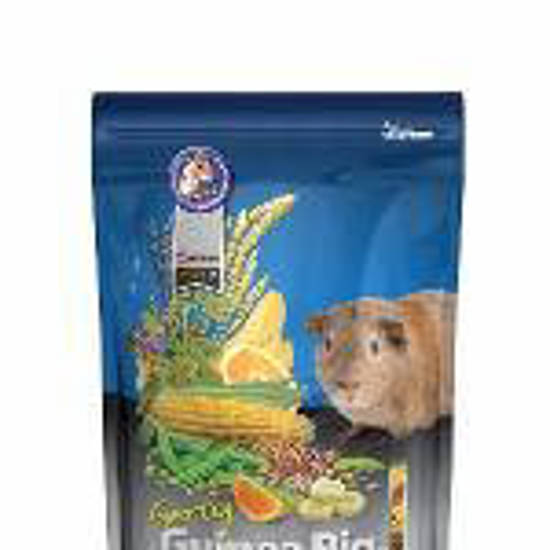 Picture of Gerty Guinea Pig - 2.5kg